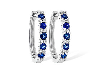 B245-13607: EARR .92 SAPP 1.10 TGW