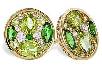 C329-68116: EARR 1.03 TW SEMI-PRECIOUS (TSAV, PER) 1.19 TGW