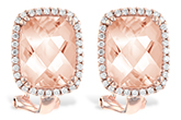F242-45406: EARR 4.60 MORG 4.85 TGW