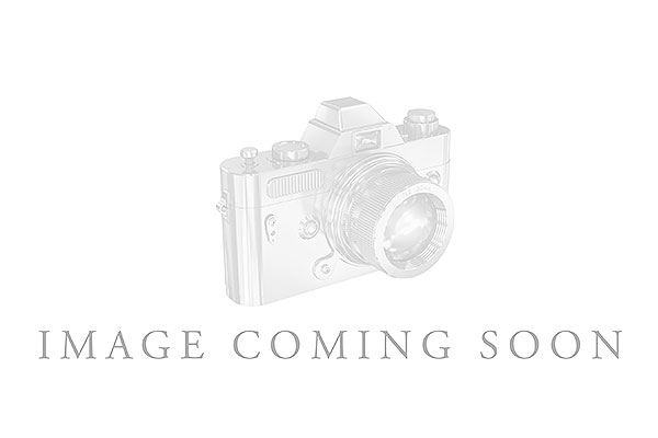 L329-69924: LDS WED RG
